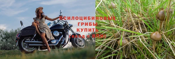 каннабис Алексеевка