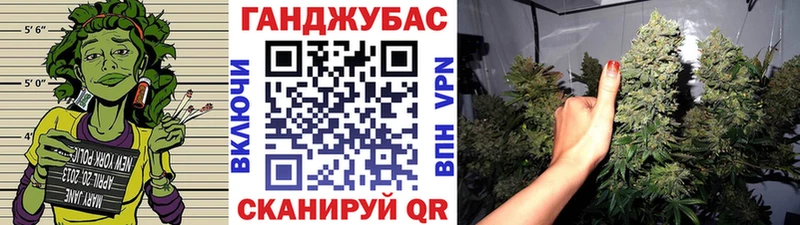 Шишки марихуана Amnesia  Чернушка 